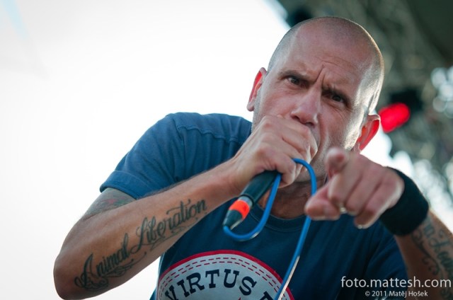 los fastidios los fastidios