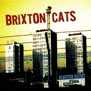 brixton cats